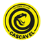F.C Cascavel