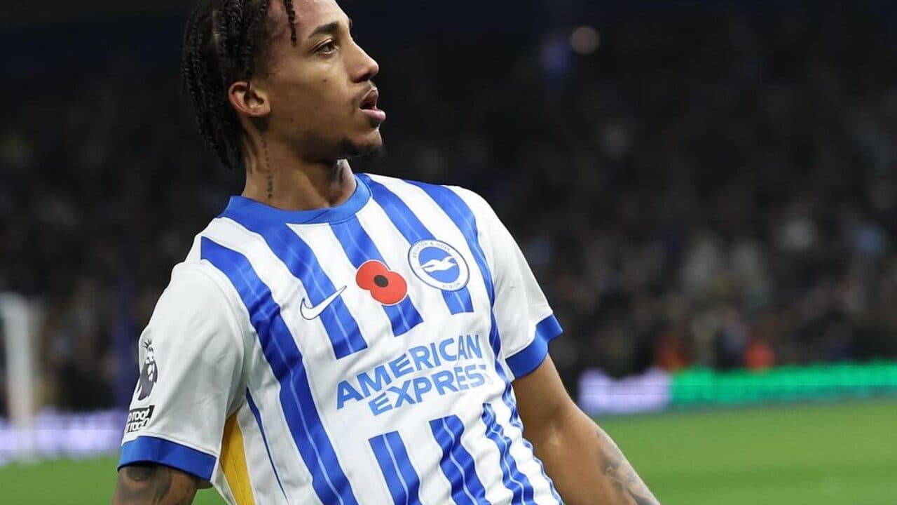 Futebol ao vivo: horários e onde assistir aos jogos de hoje (29/11/2024)