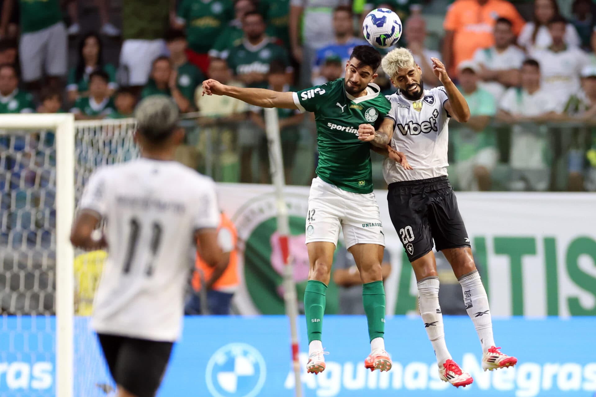 Palmeiras leva vantagem sobre Botafogo em mata-matas e no geral