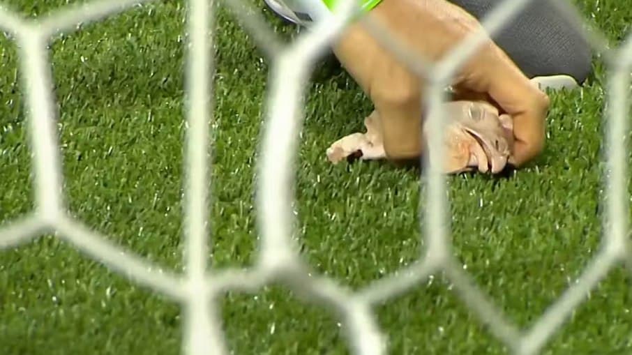 Palmeiras é punido por cantos homofóbicos e arremesso de objetos em dérbi