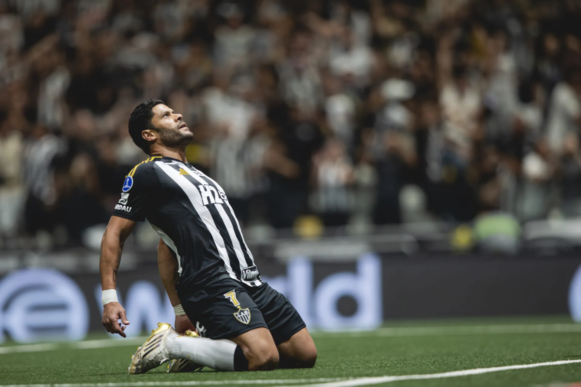 Quem já foi campeão da Libertadores e da Sul-Americana? veja lista