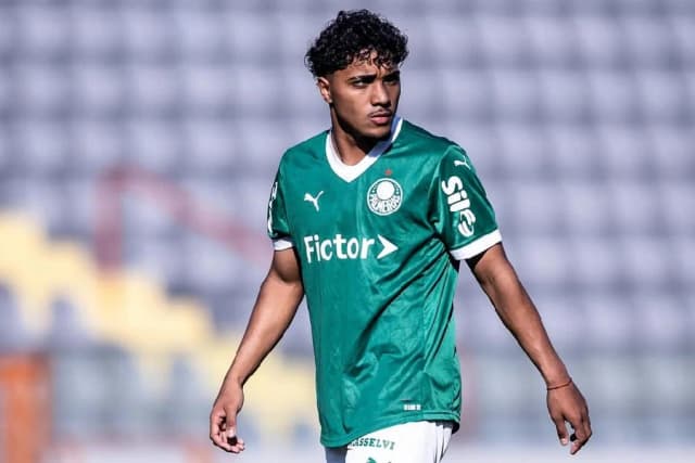 Heittor Vinicius: a nova aposta do Palmeiras para 2026