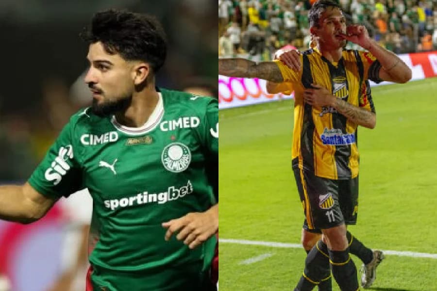 Novorizontino x Palmeiras: onde assistir à final do Paulistão