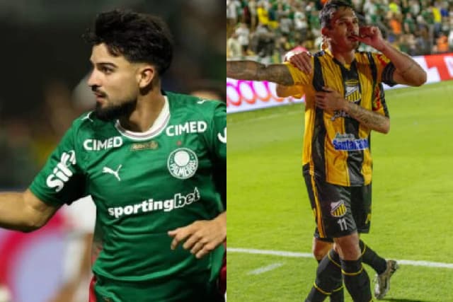Novorizontino x Palmeiras: onde assistir à final do Paulistão
