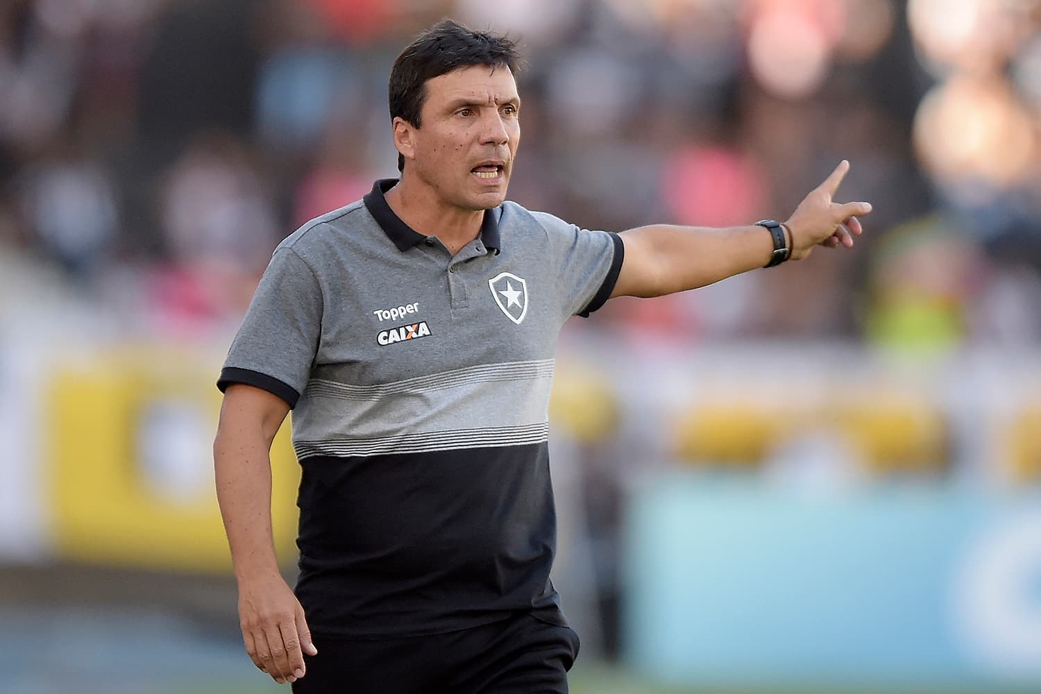 Zé Ricardo, técnico do Botafogo