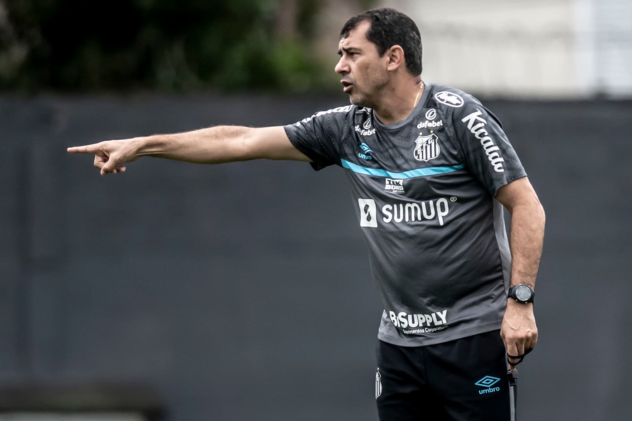 Fabio Carille, técnico do Santos