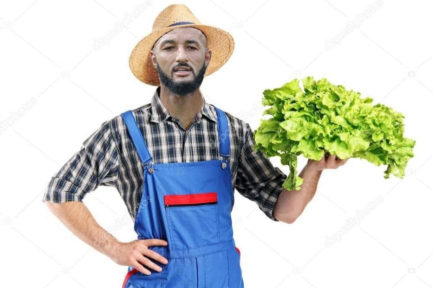 Memes com o goleiro Alex Muralha, do Flamengo