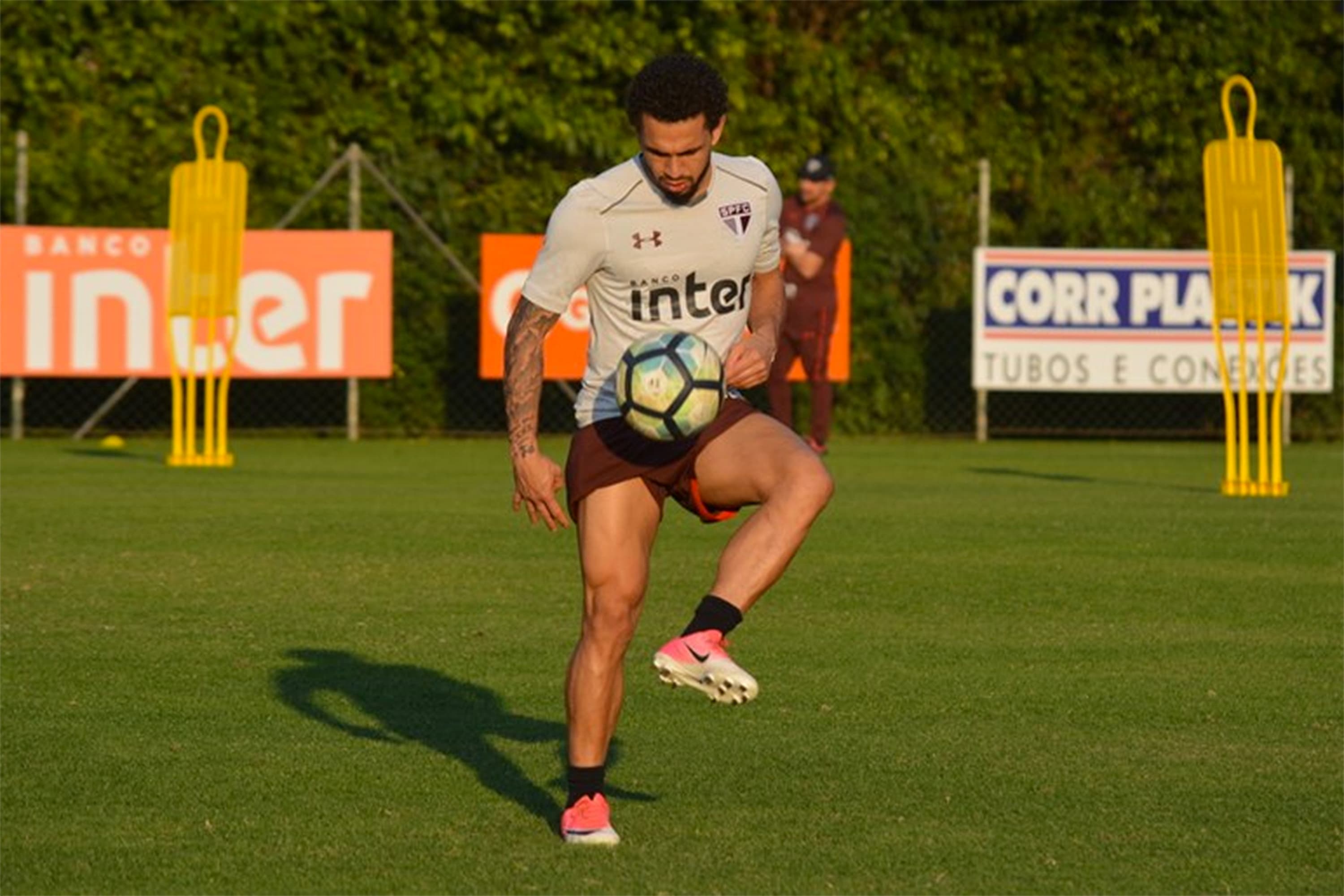 Wellington Nem