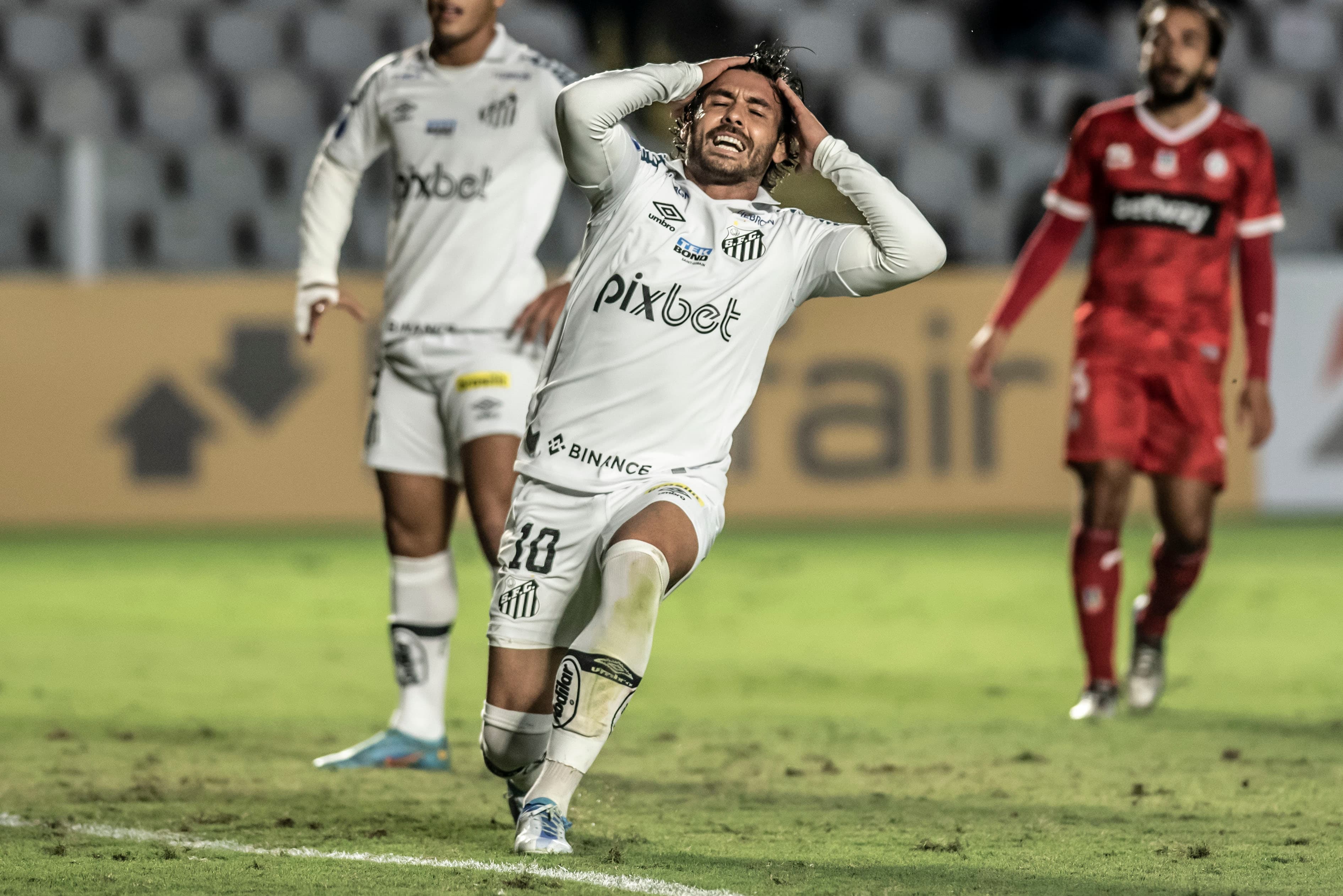 Ricardo Goulart, Santos