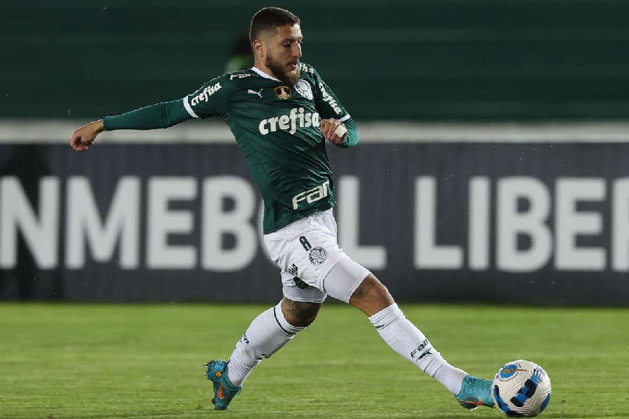 Verdão recebe o Fluminense, neste domingo, 8, pela quinta rodada do Brasileirão -
