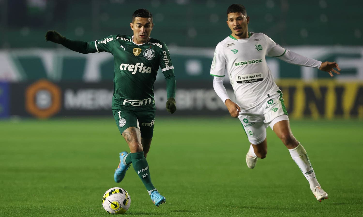 Verdão tenta se reerguer na temporada -