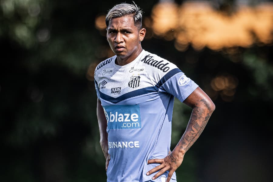Santos deposita esperança de escapar do rebaixamento no faro de gol do atacante Alfredo Morelos - Raul Baretta/ Santos FC