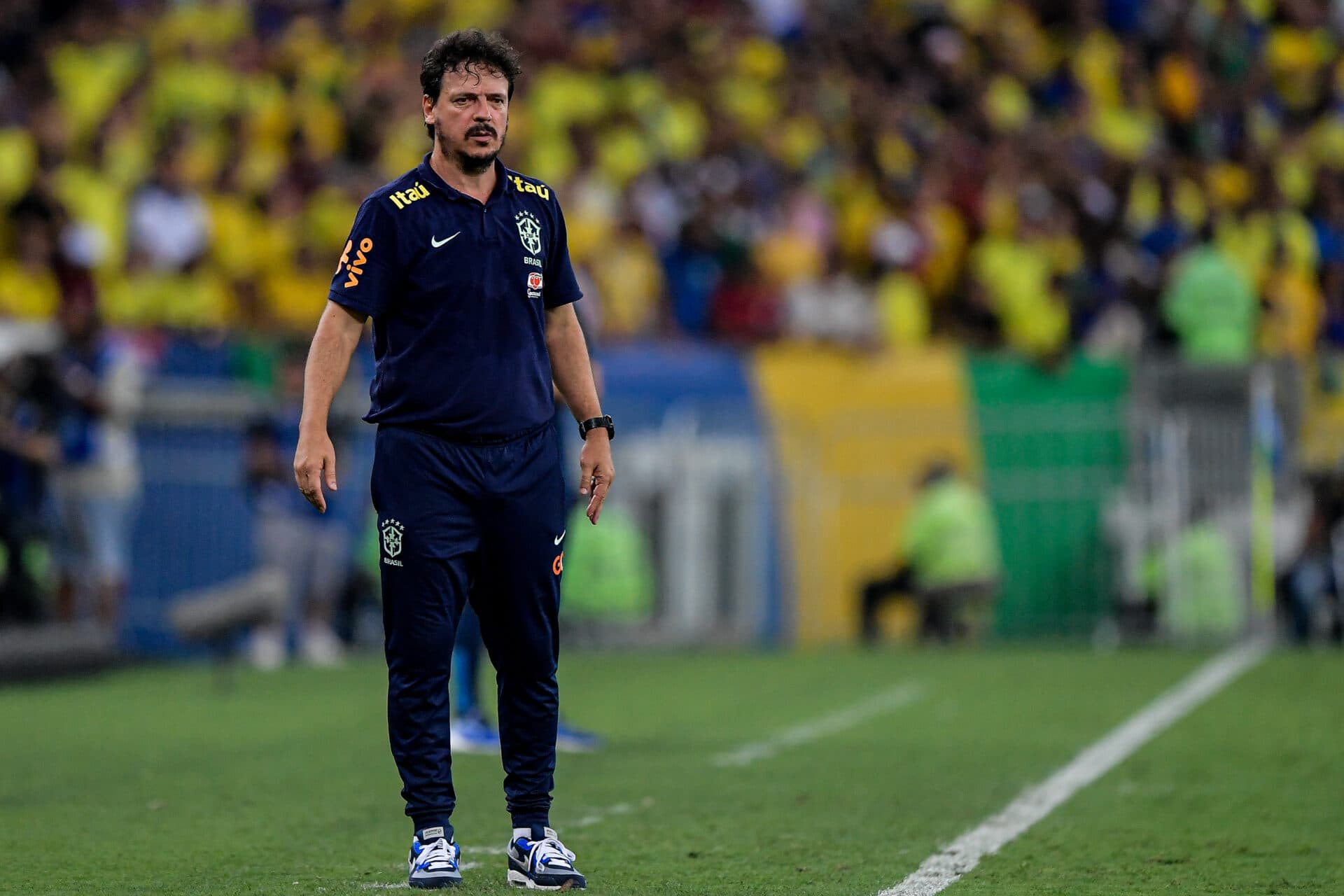 Fernando Diniz tem números ruins na seleção - Staff Images / CBF