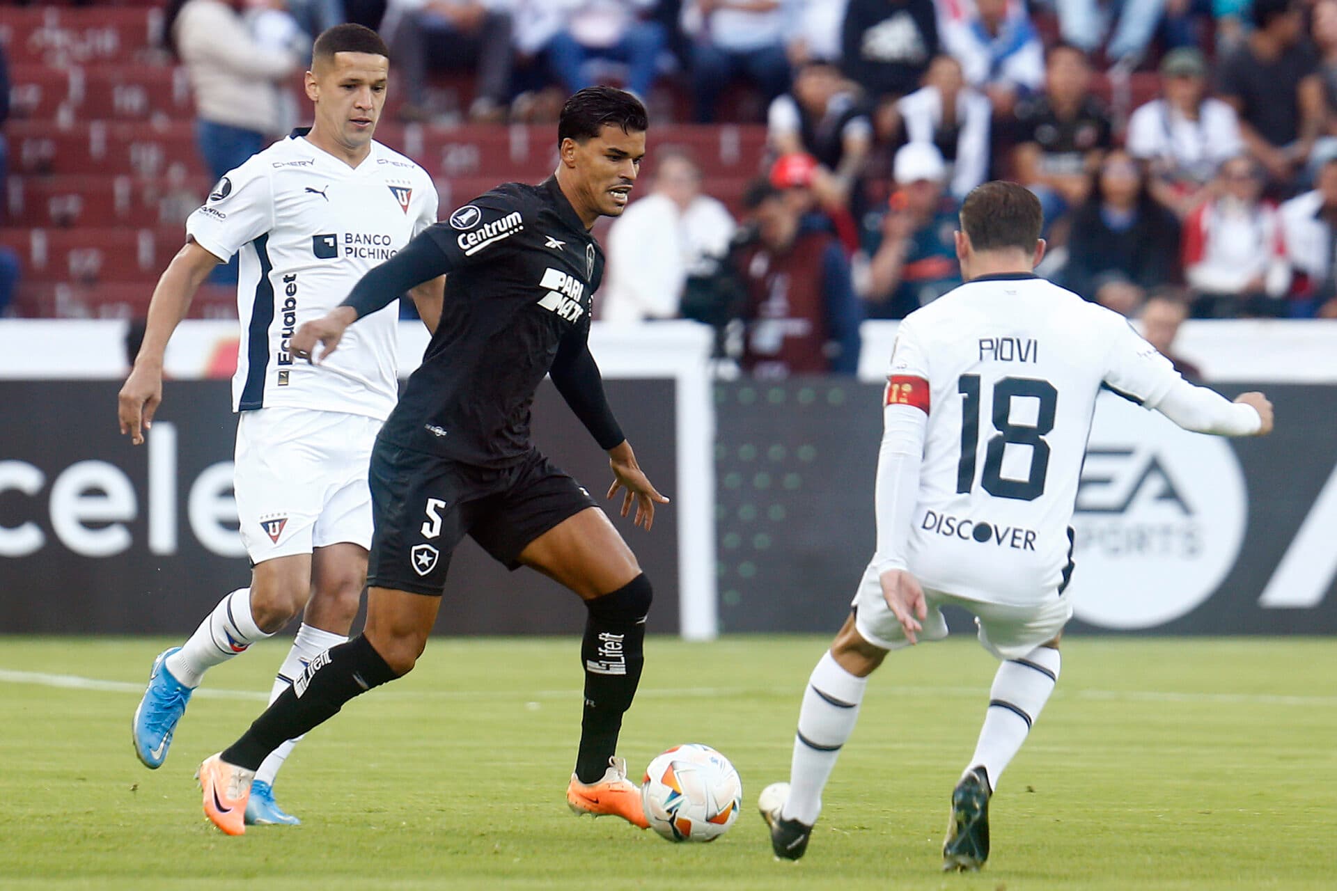 Botafogo perde na altitude para a LDU e se complica na Libertadores