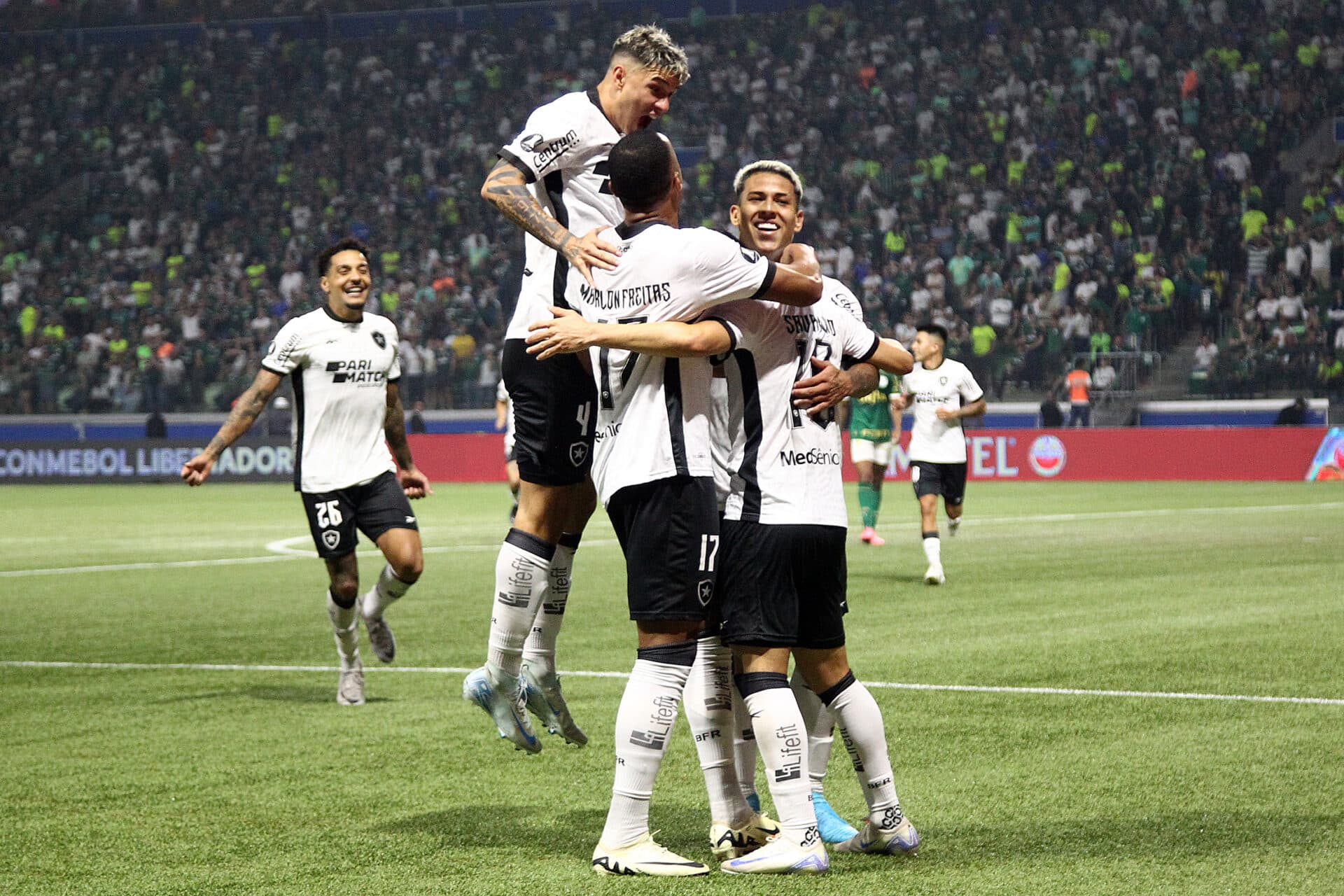 Botafogo empata com o Palmeiras e avança na Libertadores