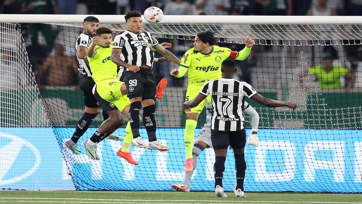 Palmeiras x Botafogo pela Libertadores; Onde assistir e prováveis escalações
