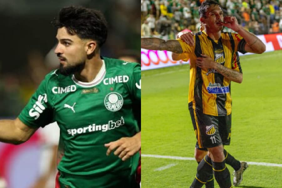 Novorizontino x Palmeiras: onde assistir à final do Paulistão