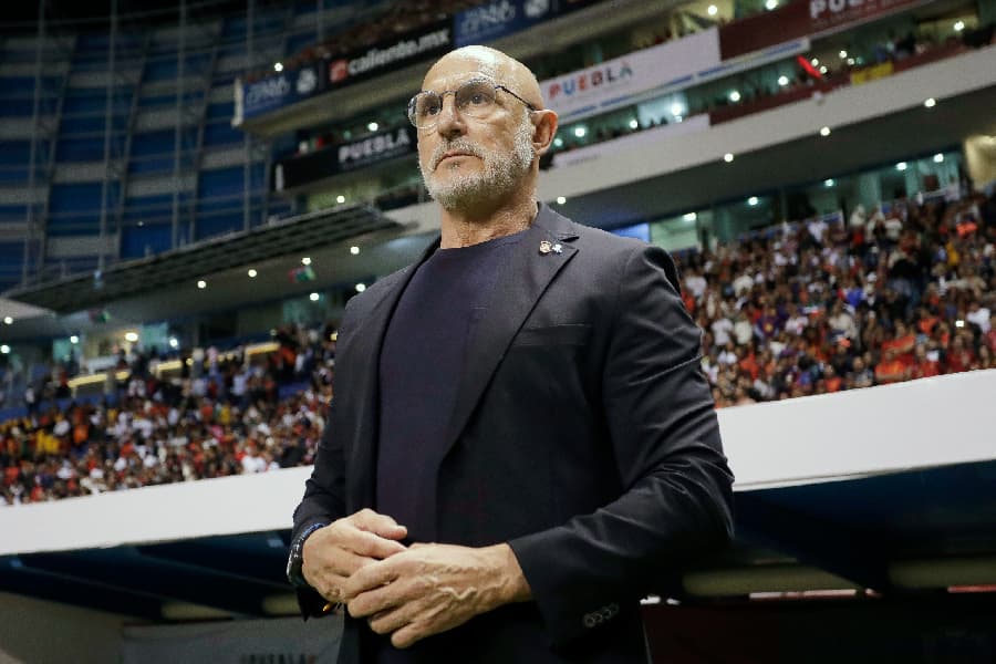 Técnico da Espanha minimiza favoritismo na Copa do Mundo