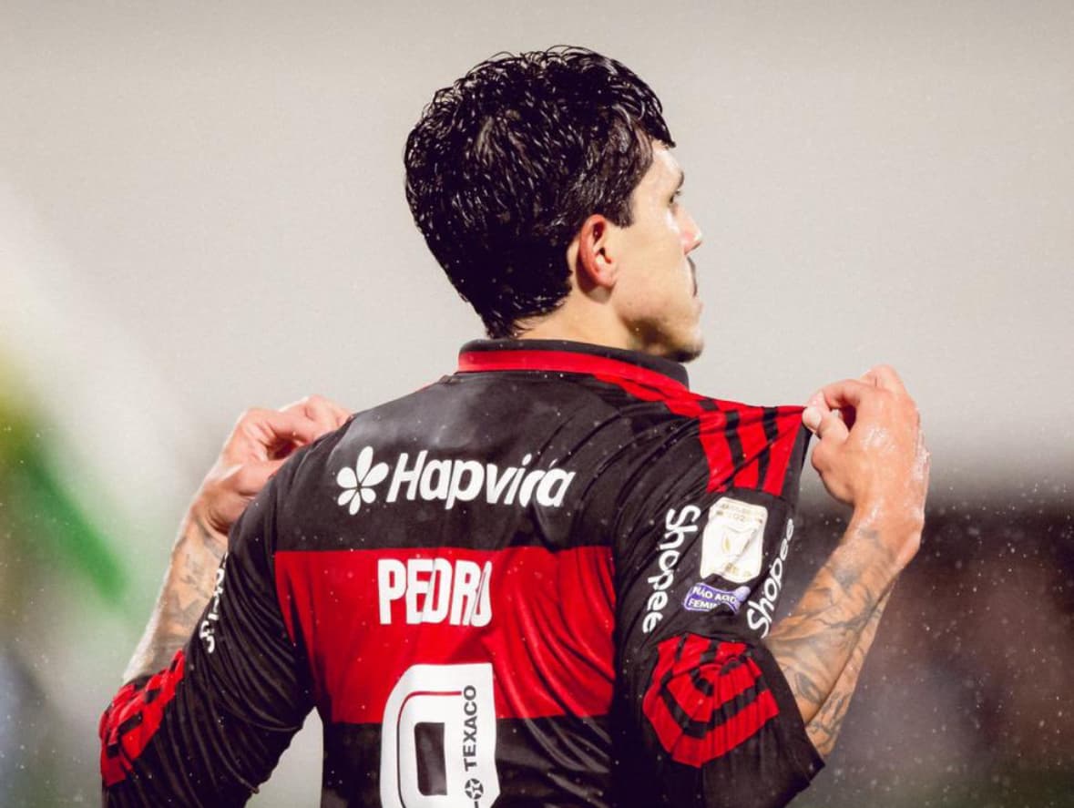 Com dois gols de Pedro, Flamengo goleia Chapecoense