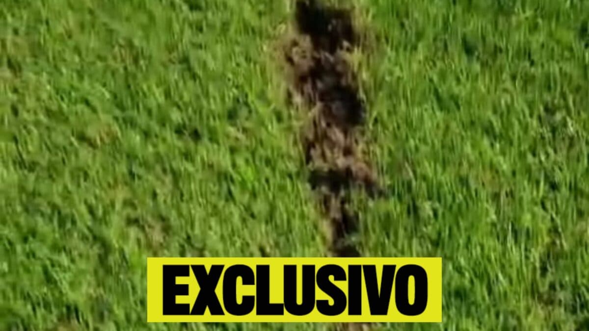 Sem dinheiro, Santos busca ‘investidor’ para trocar gramados da Vila e do CT