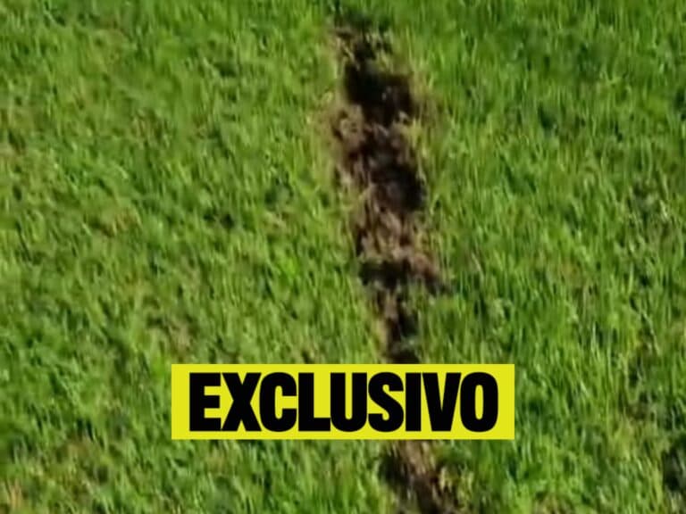 Sem dinheiro, Santos busca ‘investidor’ para trocar gramados da Vila e do CT