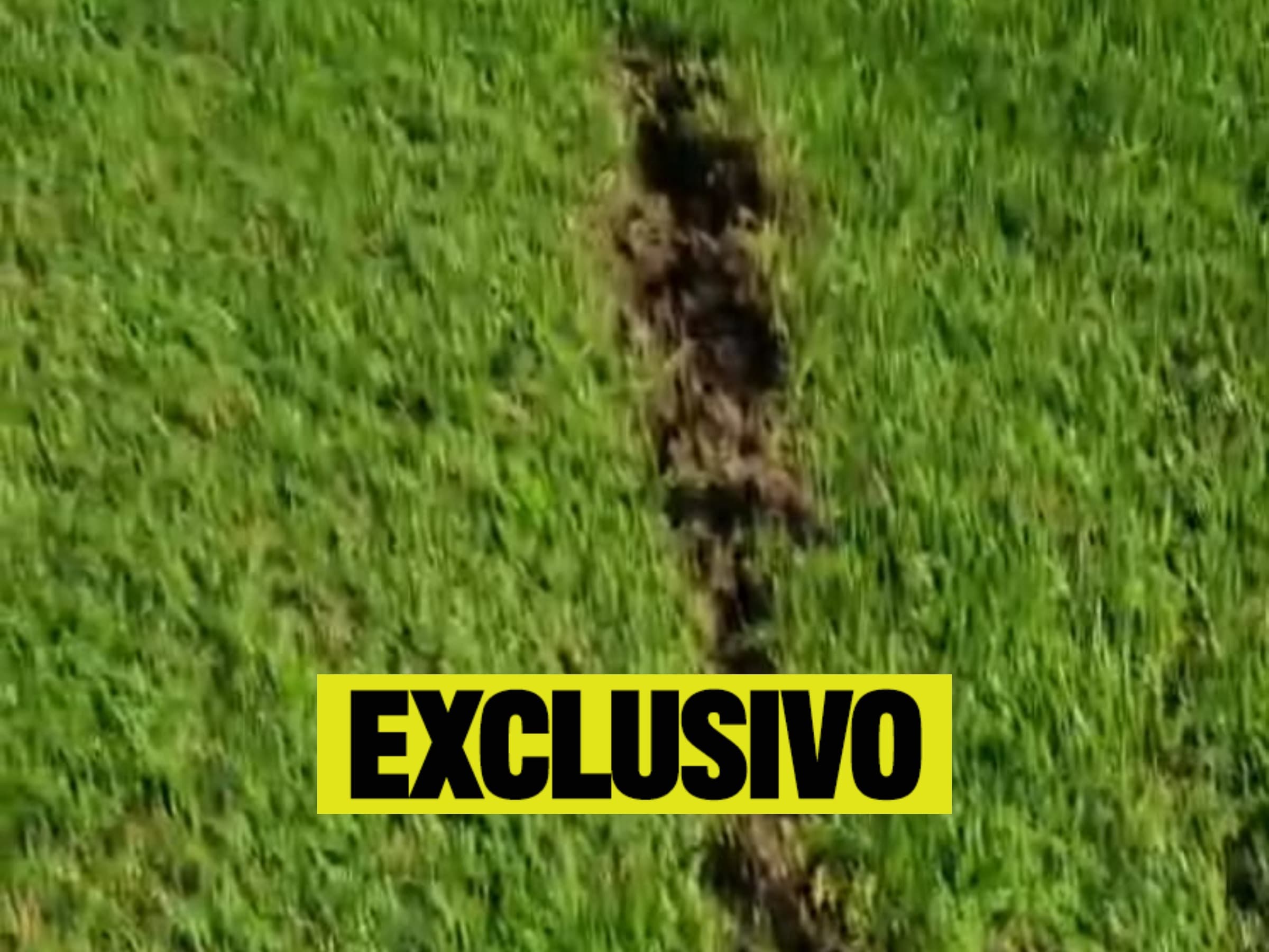 Sem dinheiro, Santos busca ‘investidor’ para trocar gramados da Vila e do CT
