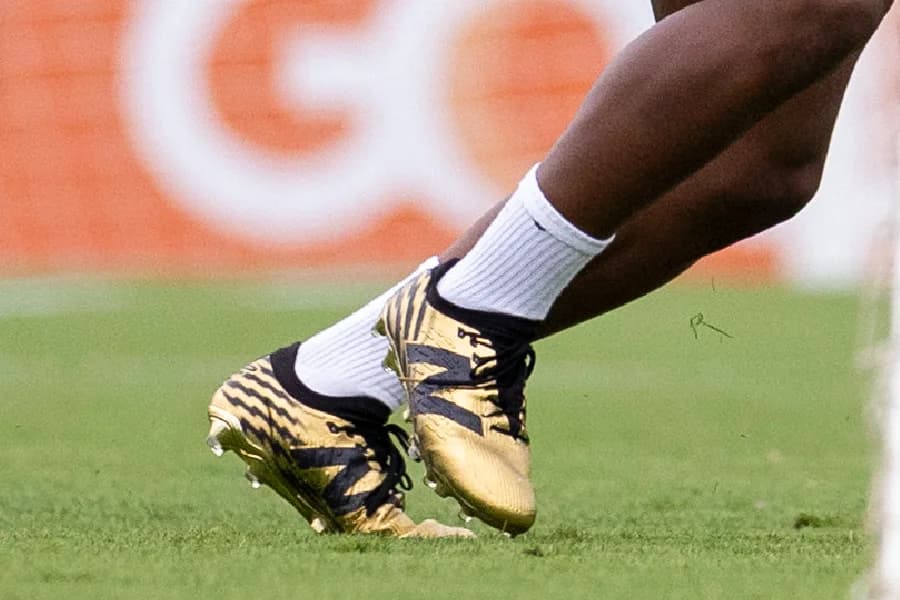 Copa do Mundo: seleção inicia preparo na Granja Comary