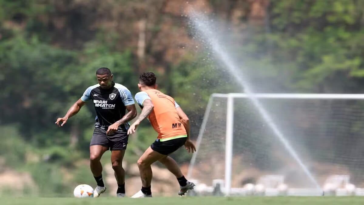 Botafogo conta com retorno de jogadores do departamento médico