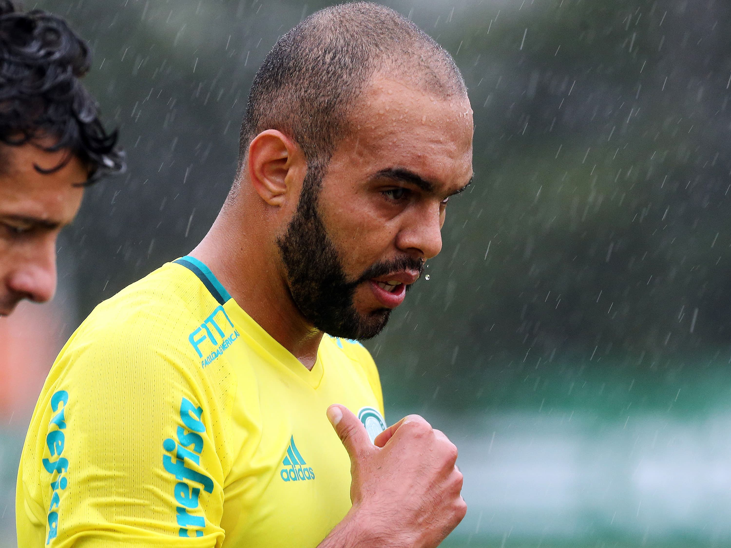 Alecsandro, atacante do Palmeiras