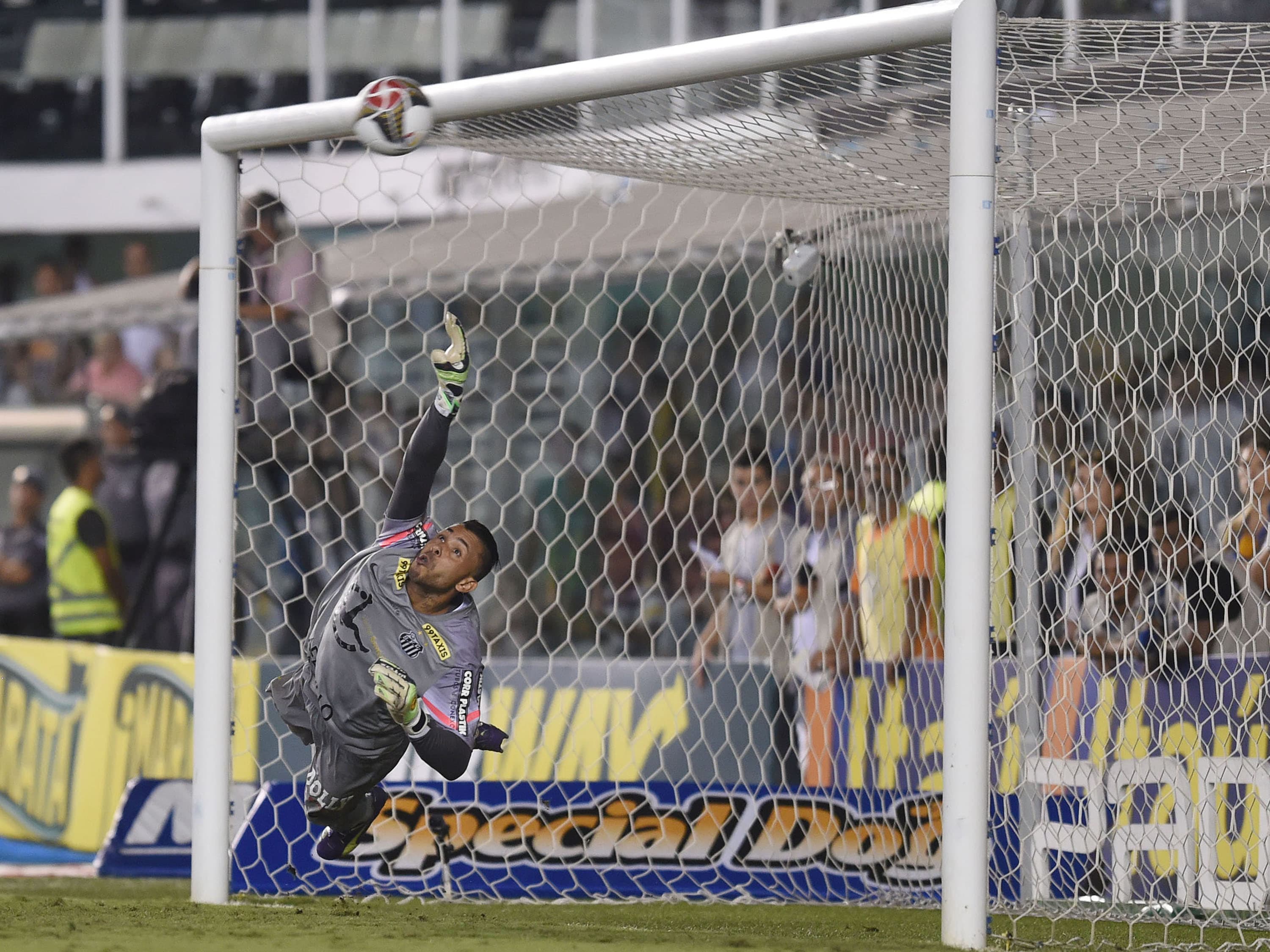 Final campeonato paulist: Santos x Palmeiras