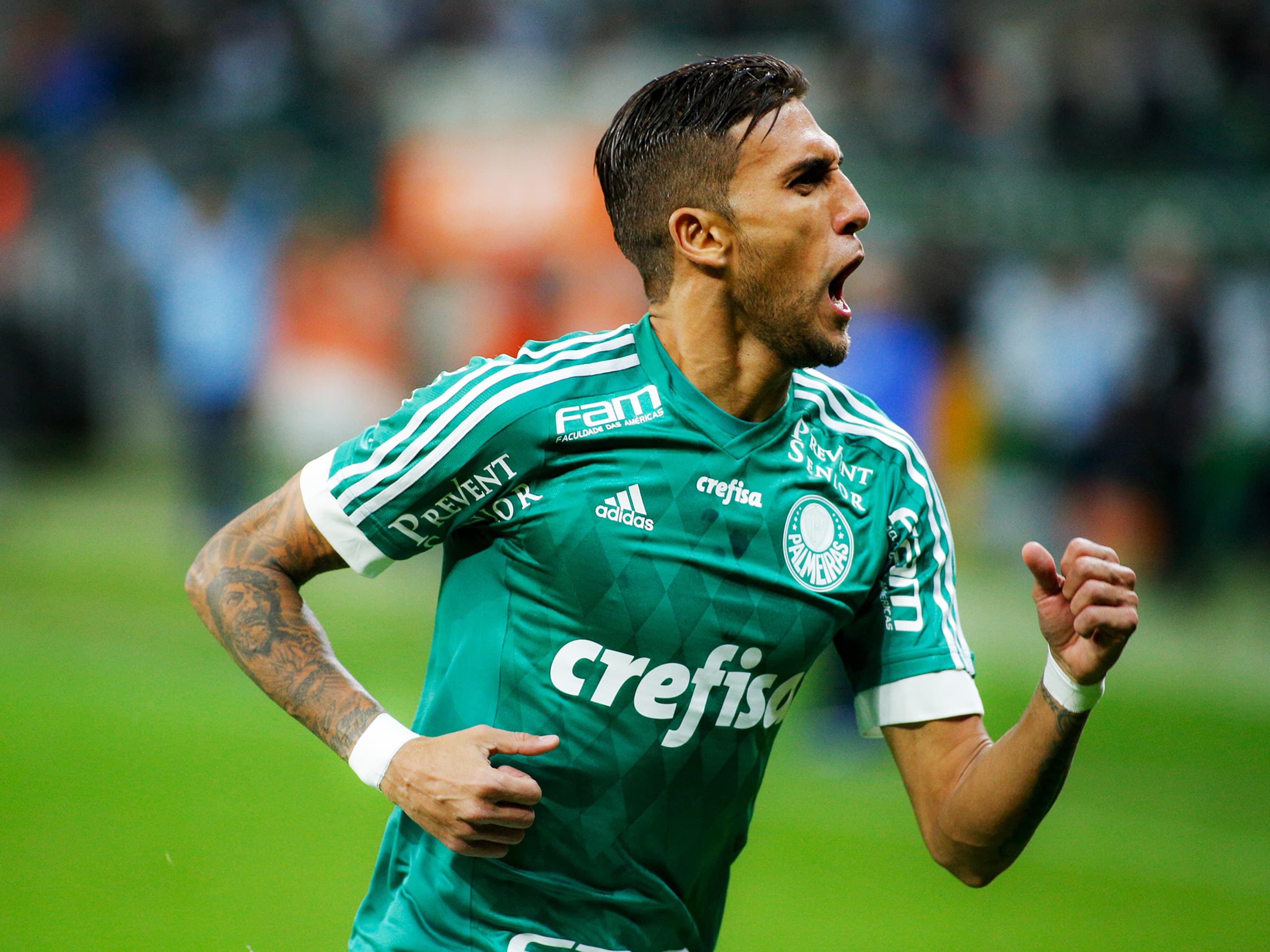 Campeonato brasileiro: Palmeiras x Avaí - 08/07/2015