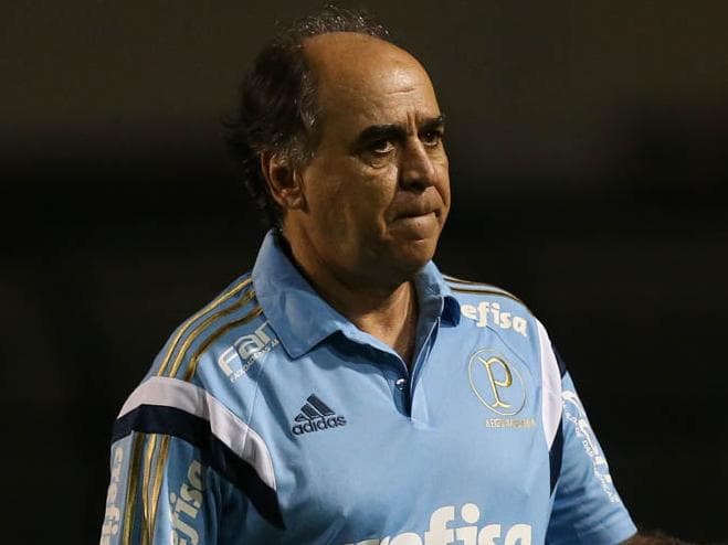 O técnico Marcelo Oliveira durante o comando no Palmeiras