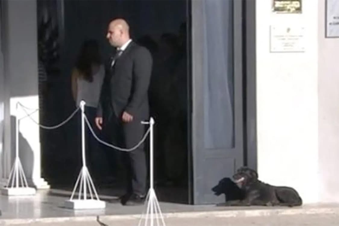 Nala, a cachorra de Sala, permanece por horas na porta de seu velório