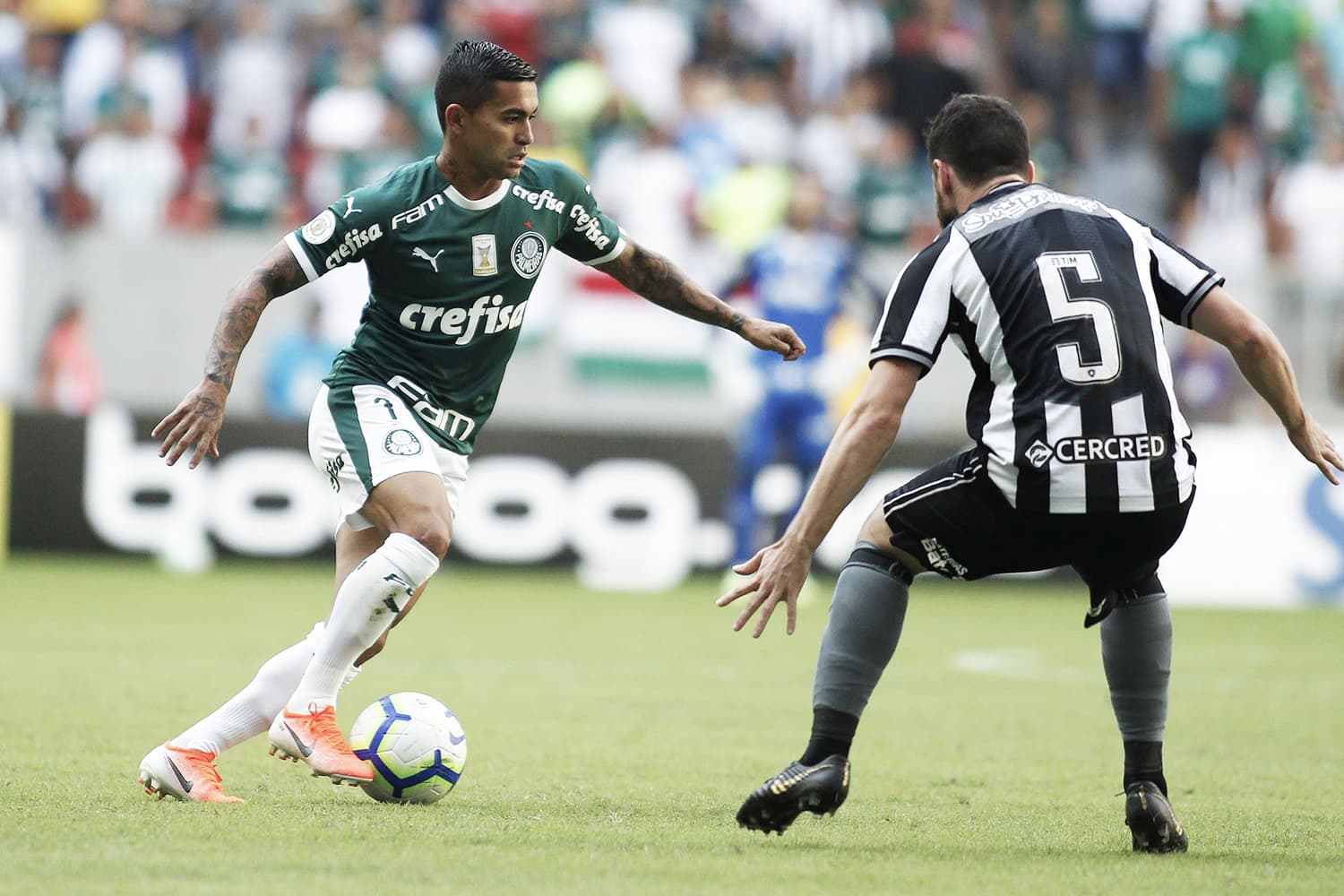 João Paulo, jogador do Botafogo, disputa lance com Dudu, do Palmeiras