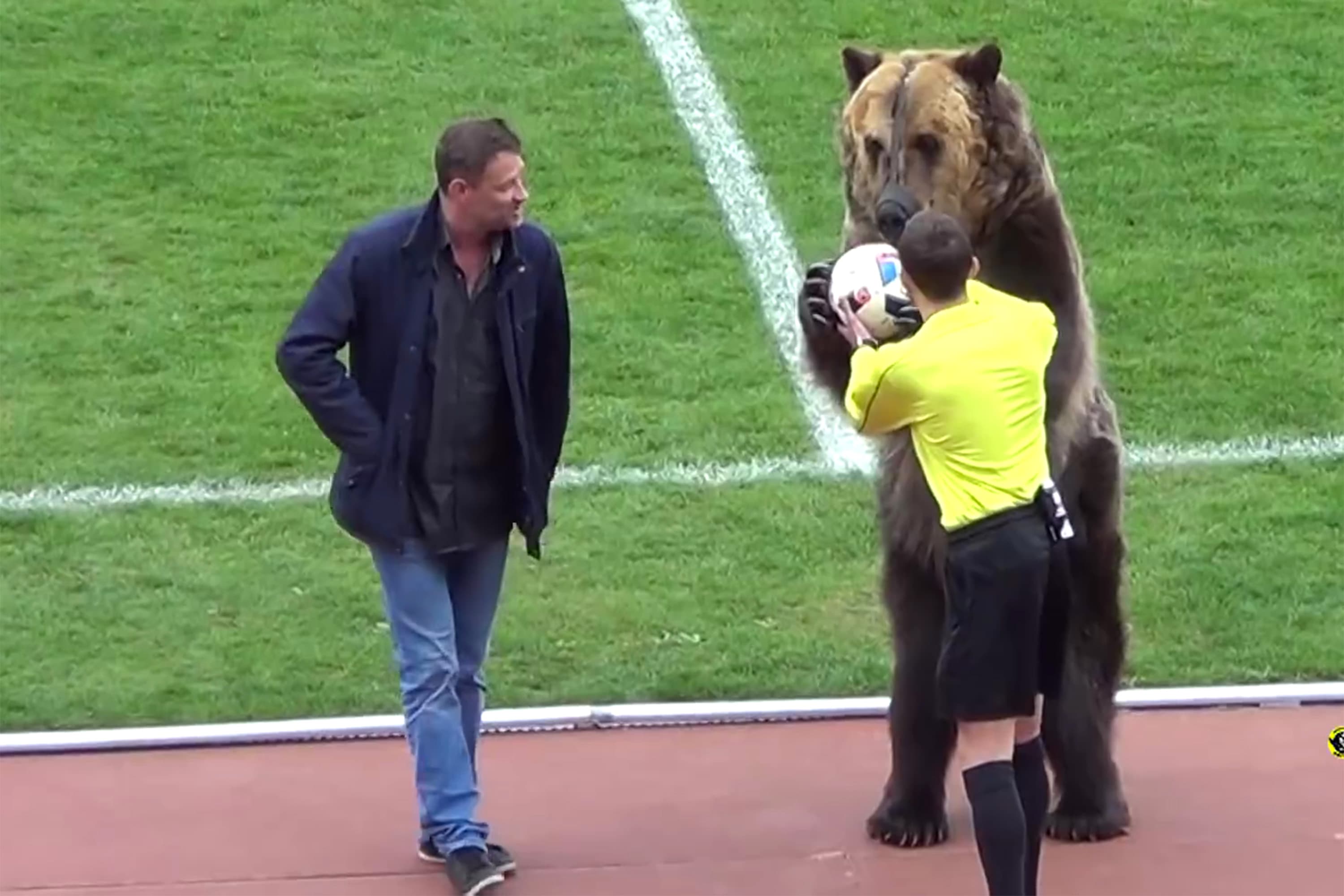 Urso entrega bola para juiz antes de partida do Angusht Nazran, clube da 3ª divisão na Rússia