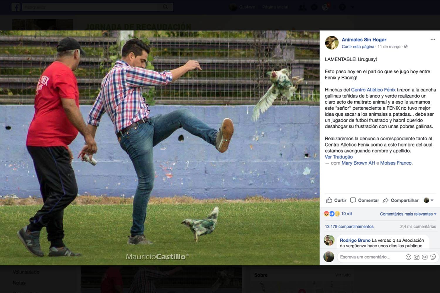 Como forma de repúdio ao ato, a ong uruguaia Animales Sin Hogar, publica em sua página no facebook a foto que mostra torcedores do Fénix chutando galinhas durante a partida contra o Racing