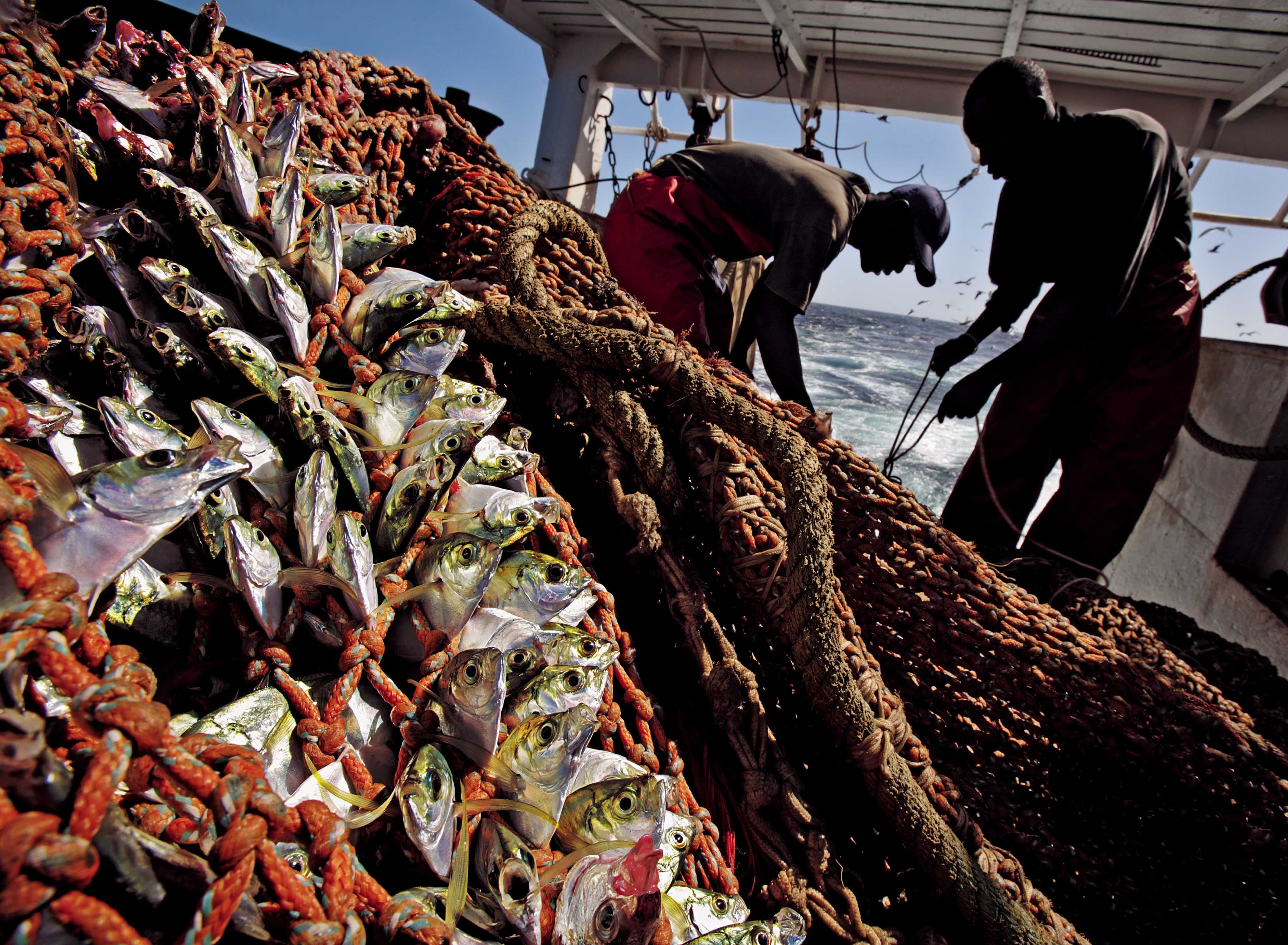 Pesca de trutas