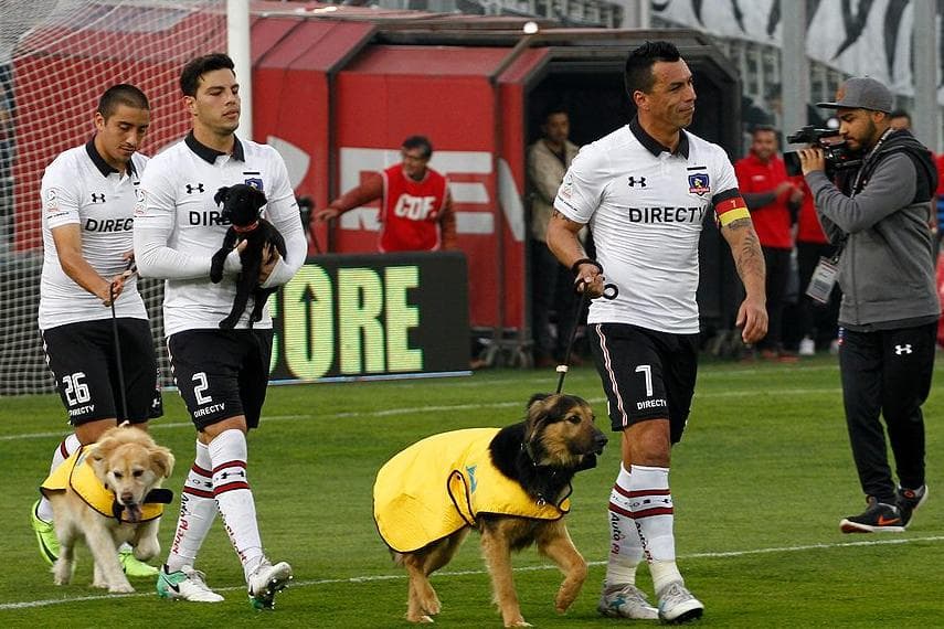 Jogadores do Colo Colo entraram em campo com cachorros