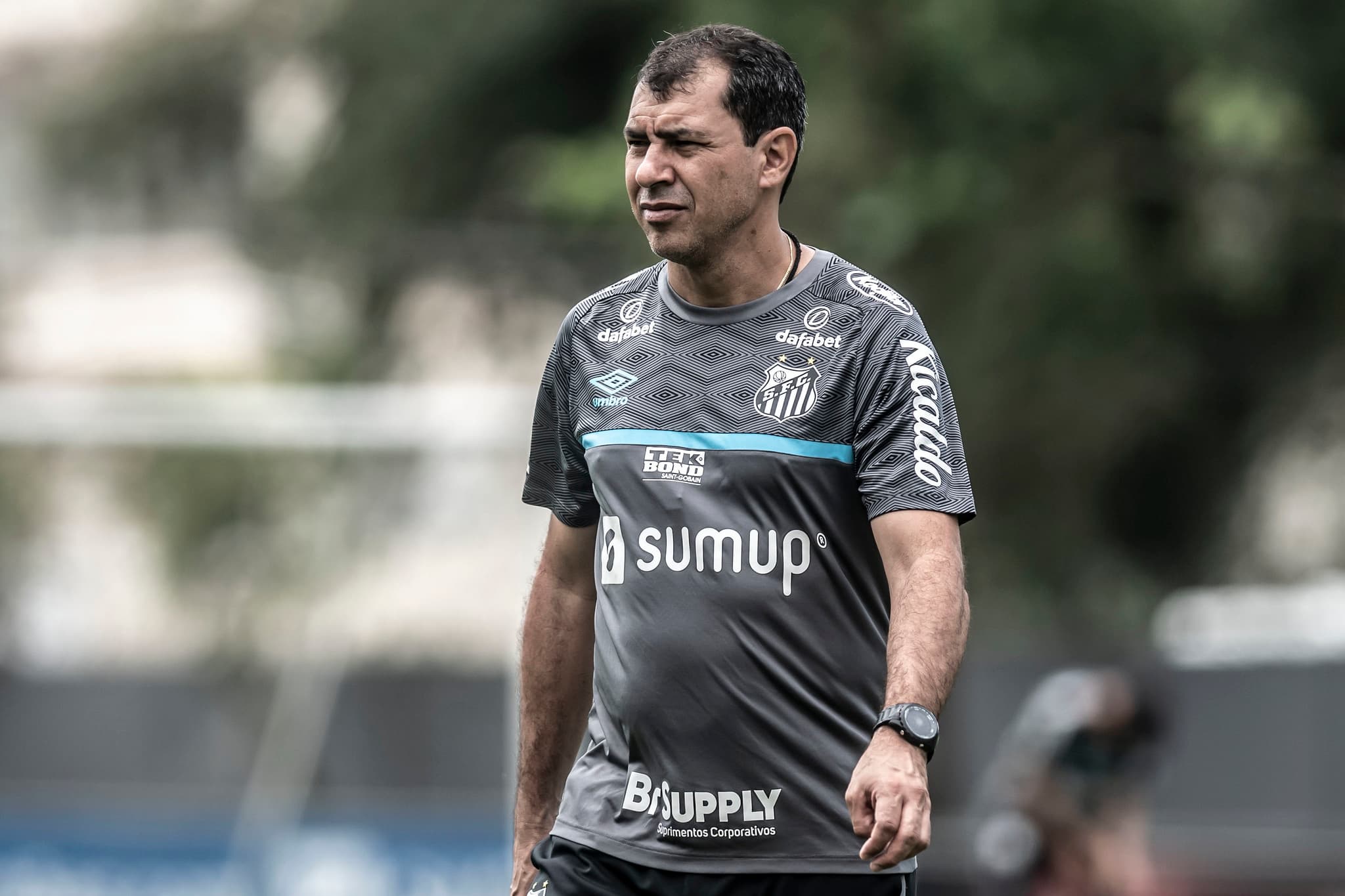 Fábio Carille, treinador do Santos -
