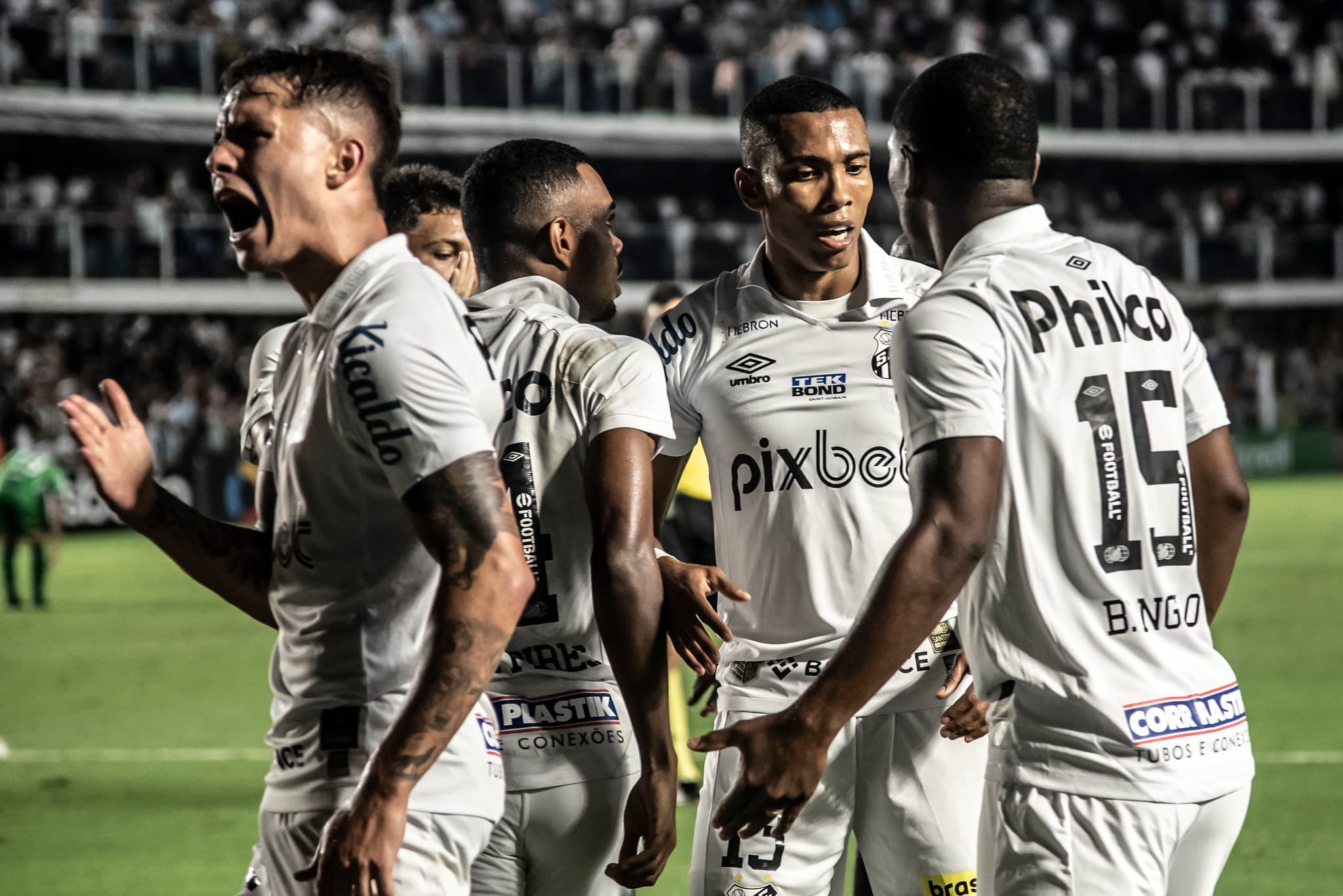 Peixe tenta manter boa fase na temporada -