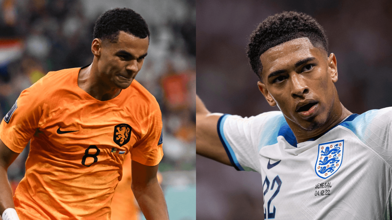 Gakpo e Bellingham, jovens destaques do Mundial -