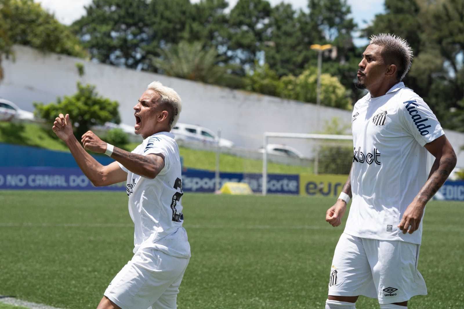 Jogadores do Santos comemoram um dos gols da goleada sobre o Bahia -
