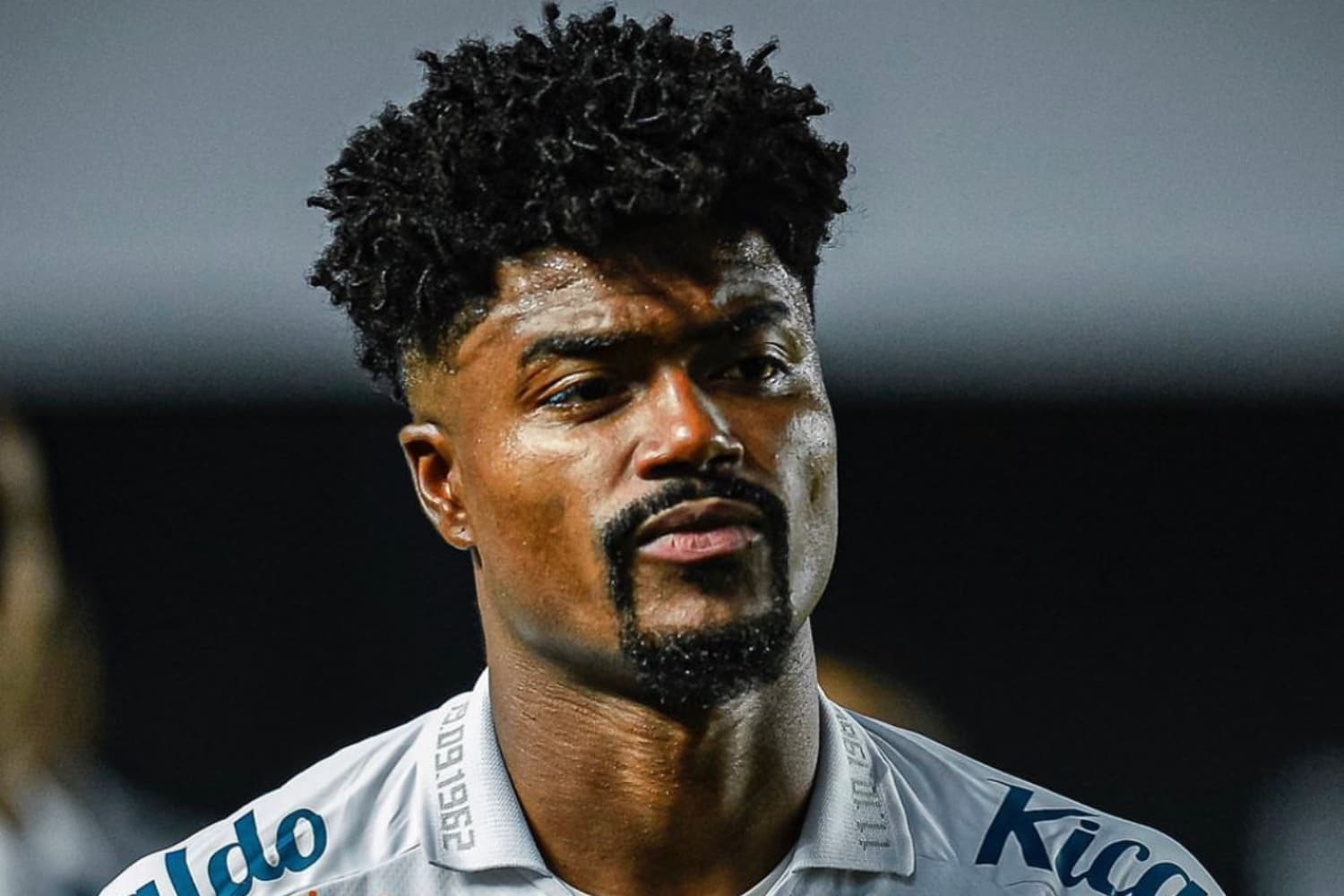 Bauermann foi afastado do Santos