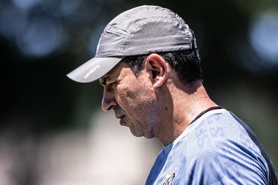 Carille conduz o Santos a melhor campanha da primeira fase do estadual - Raul Baretta/Santos FC