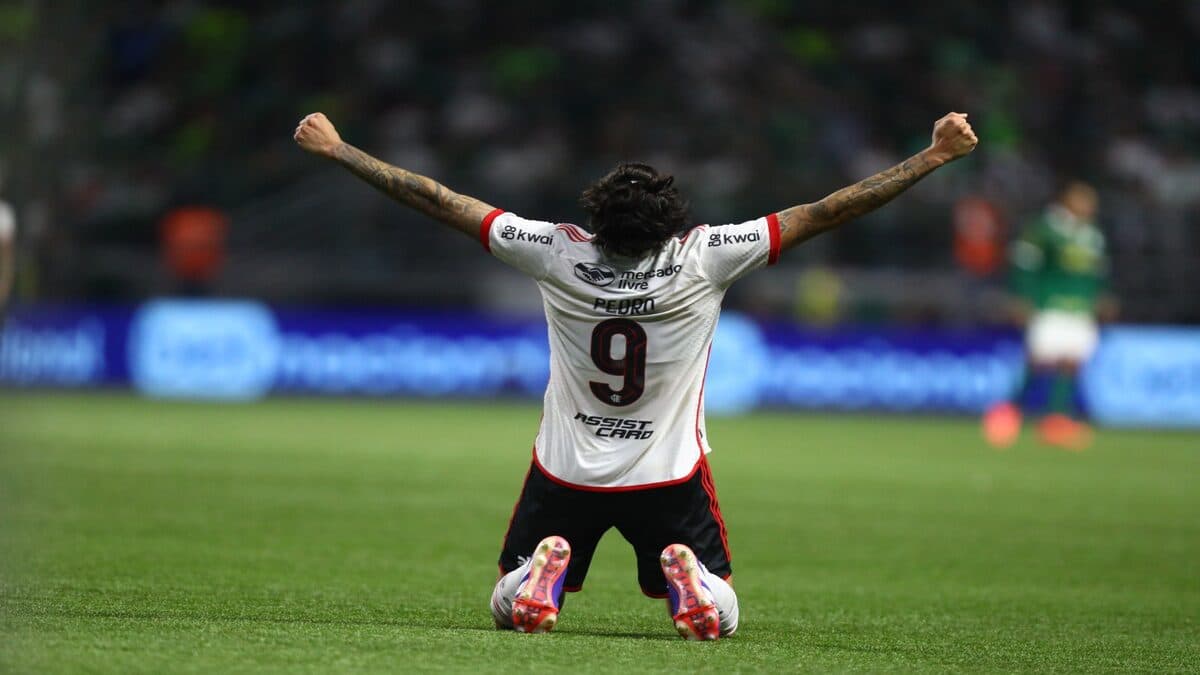 Ranking dos maiores artilheiros no Brasil; Pedro lidera lista