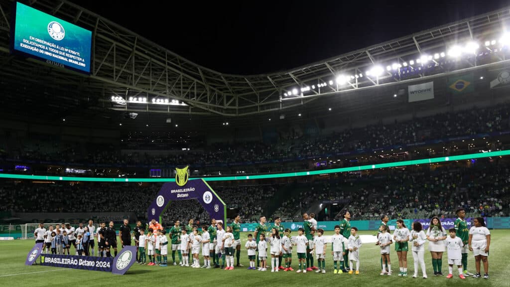 Palmeiras arrecada quase 120 milhões com sócio-torcedor