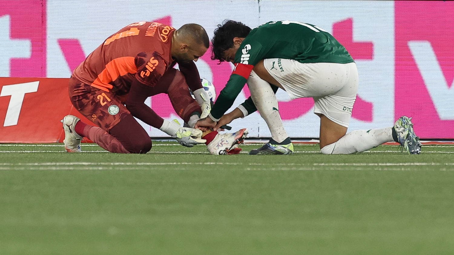 Palmeiras no gamado sintético do Nilton Santos contra o Botafogo - Cesar Greco / Palmeiras