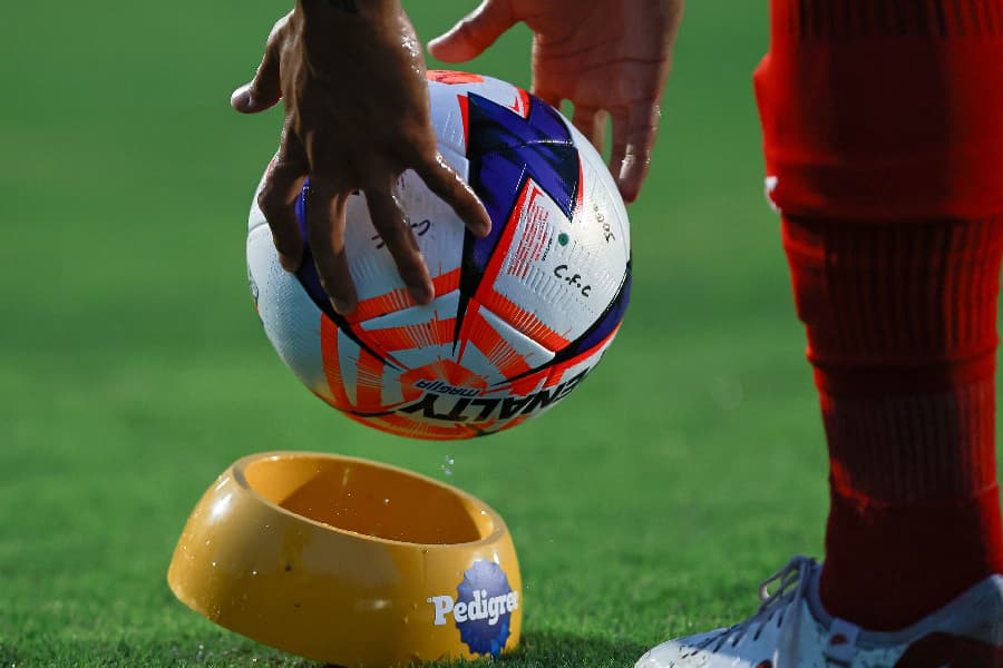 Reposição bola Paulistão 2026 - Rebeca Reis/Ag.Paulistão