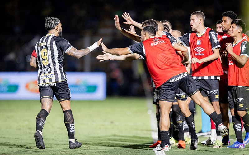 Gabigol marcou os gols da reação do Santos diante do Mirassol - Raul Baretta/Santos FC