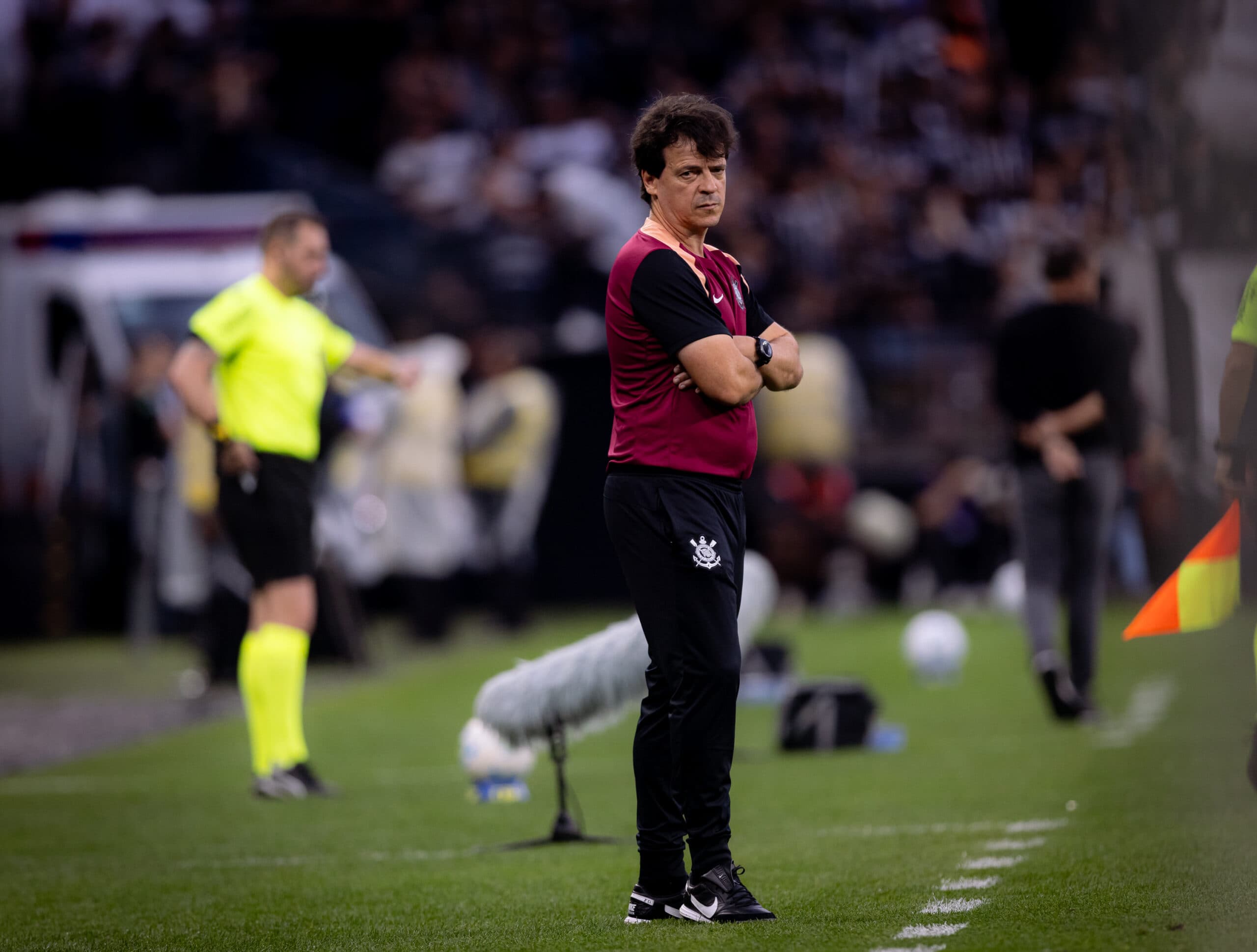 Fernando Diniz, técnico do Corinthians - Rodrigo Coca/Agência Corinthians
